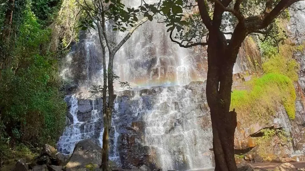 Chute de karera