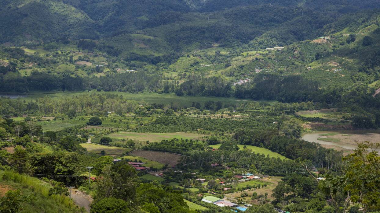 Les collines de l’imbo et du mugamba : deux visages du burundi, une expérience de voyage inoubliable