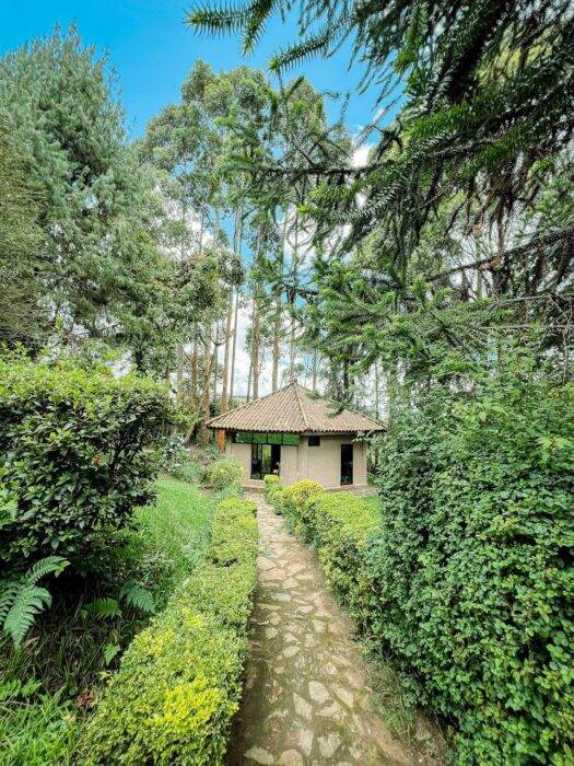 Kibira park lodge : une immersion au cœur de la nature burundaise