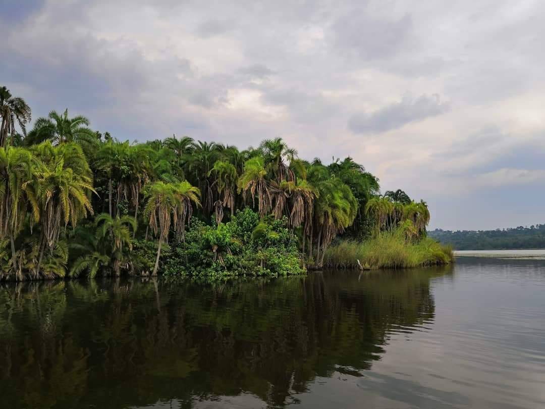 Découvrir le lac rweru : une destination paisible pour les voyageurs au burundi